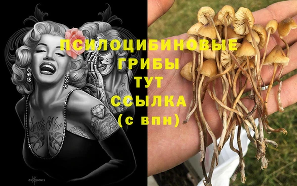 кокаин колумбия Алексеевка