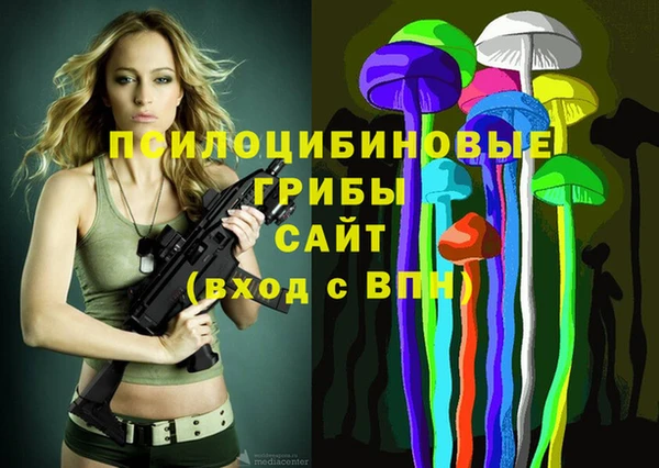 молекула духа Алексин