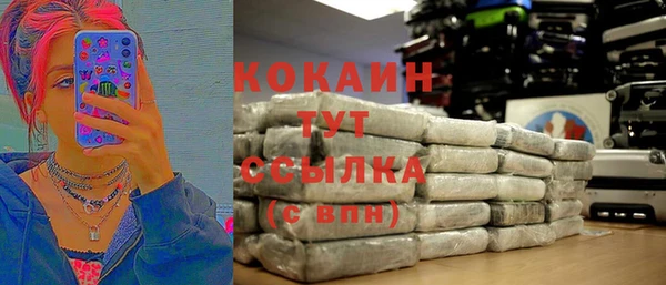 молекула духа Алексин