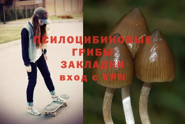 каннабис Алзамай