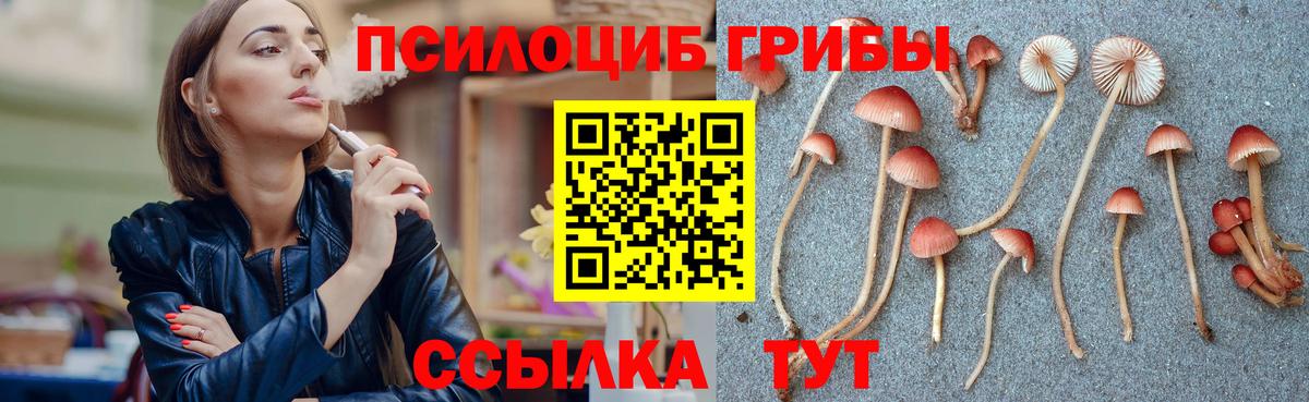 Псилоцибиновые грибы прущие грибы  Псилоцибиновые грибы Magic Shrooms  Вход с VPN  Богородск 